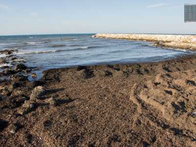 E qui, dopo qualche centinaia di metri, Lama Balice conclude finalmente il suo viaggio, andando a sfociare in un tappeto di alghe tra le braccia del Mare Adriatico